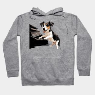 Dog playing piano Hoodie